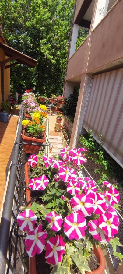 Elisa E Carla House Beautiful Apartments On The Cassia Roma Exterior foto